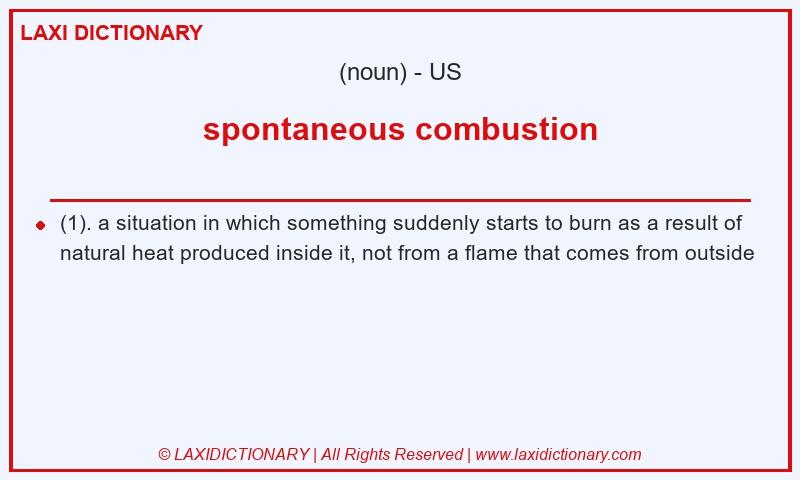 Definition spontaneous combustion in American English