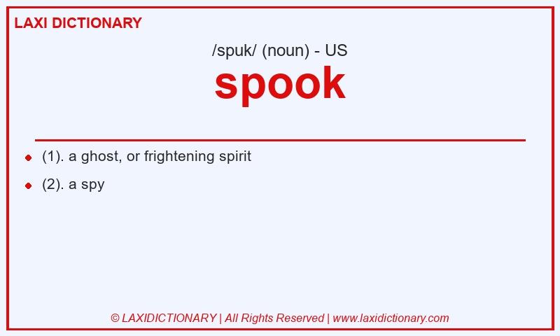 Definition spook in American English