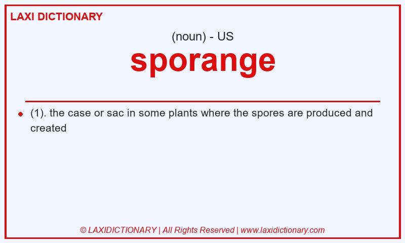 Definition sporange in American English