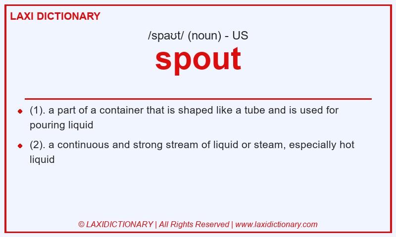 Definition spout in American English