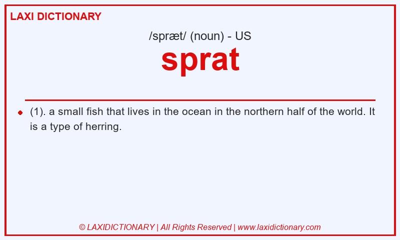 Definition sprat in American English