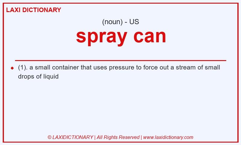 Definition spray can in American English