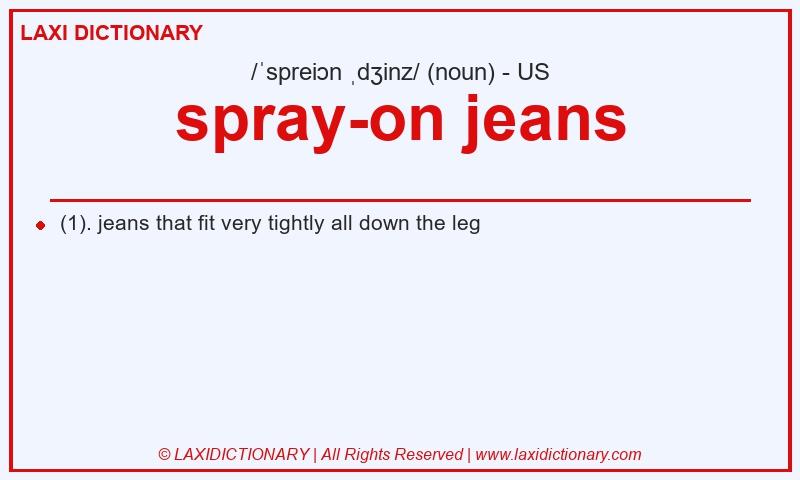Definition spray-on jeans in American English