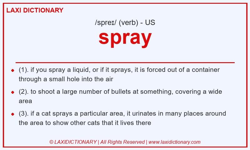 Definition spray in American English