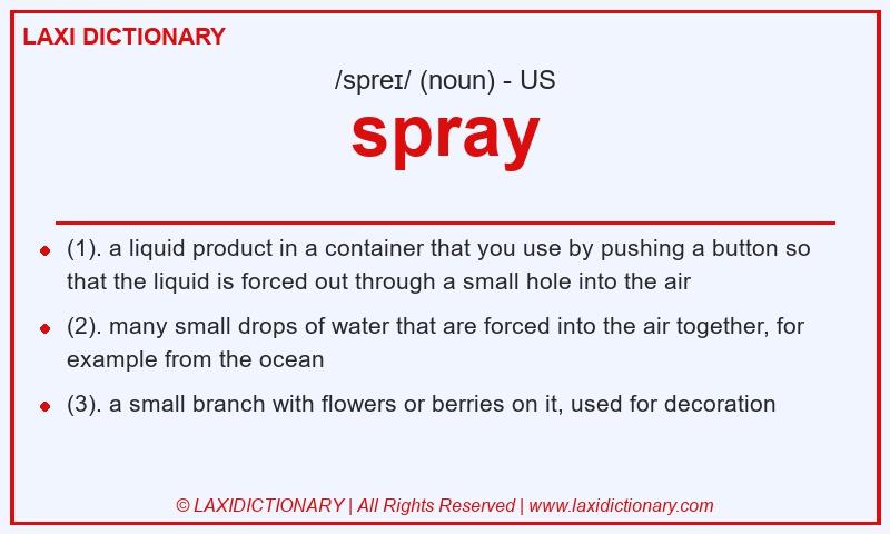 Definition spray in American English