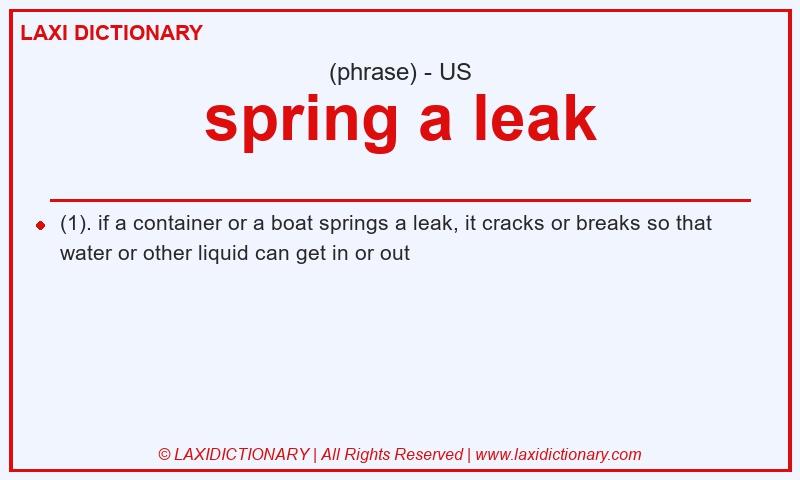 Definition spring a leak in American English