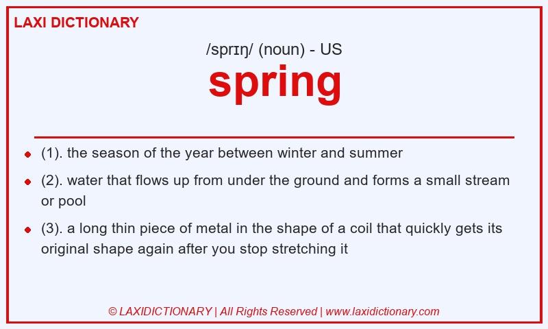 Definition spring in American English