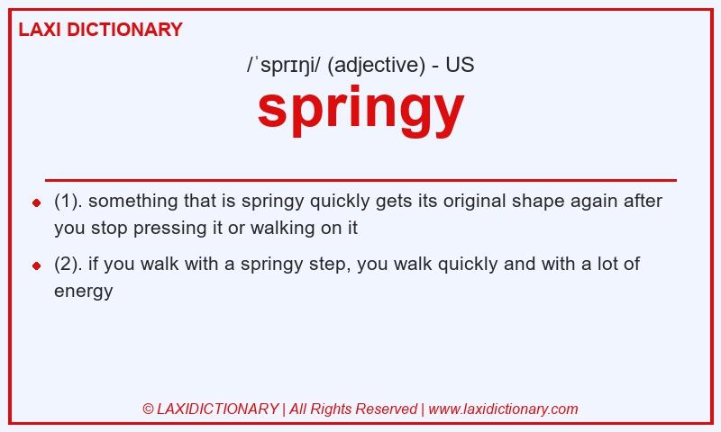 Definition springy in American English