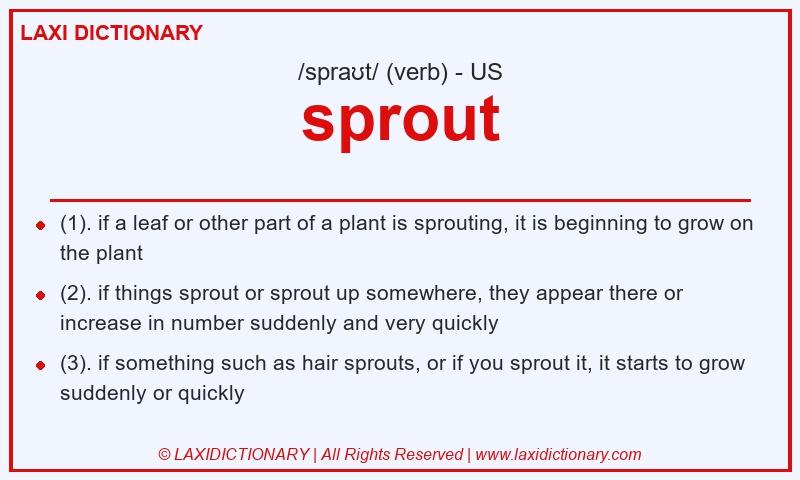 Definition sprout in American English