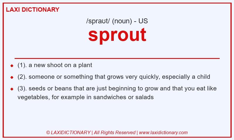 Definition sprout in American English