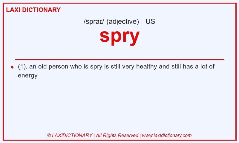 Definition spry in American English