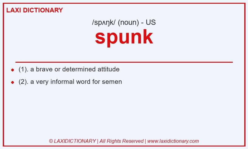 Definition spunk in American English