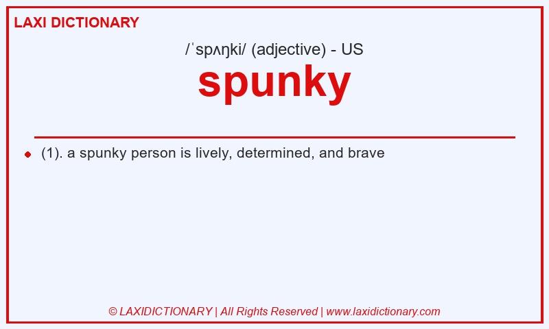 Definition spunky in American English