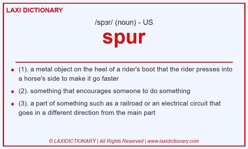 Definition spur in American English