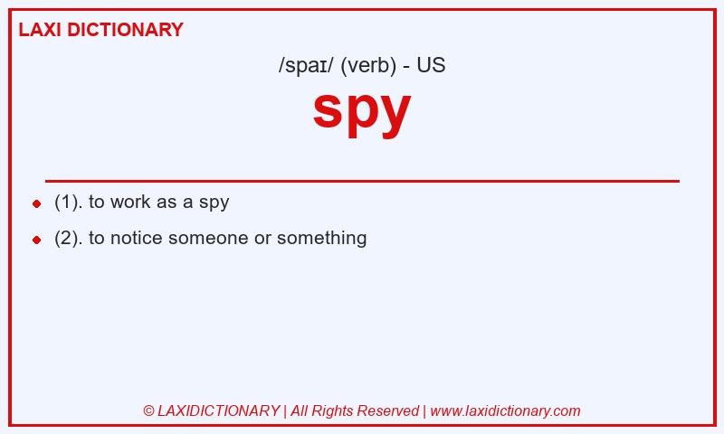 Definition spy in American English