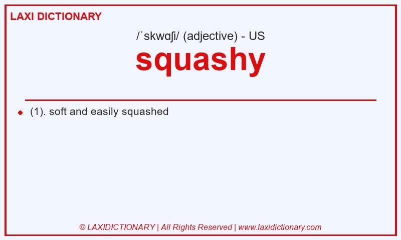 Definition squashy in American English