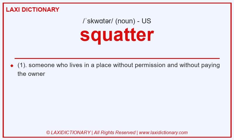 Definition squatter in American English