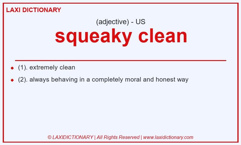 Definition squeaky clean in American English