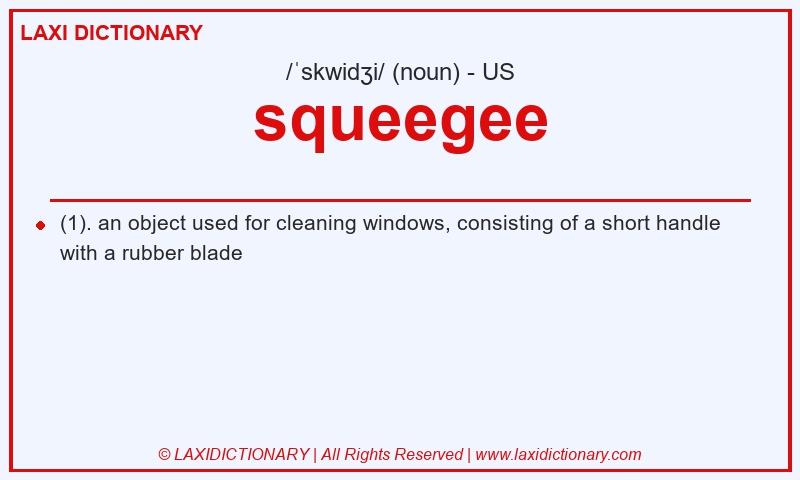Definition squeegee in American English