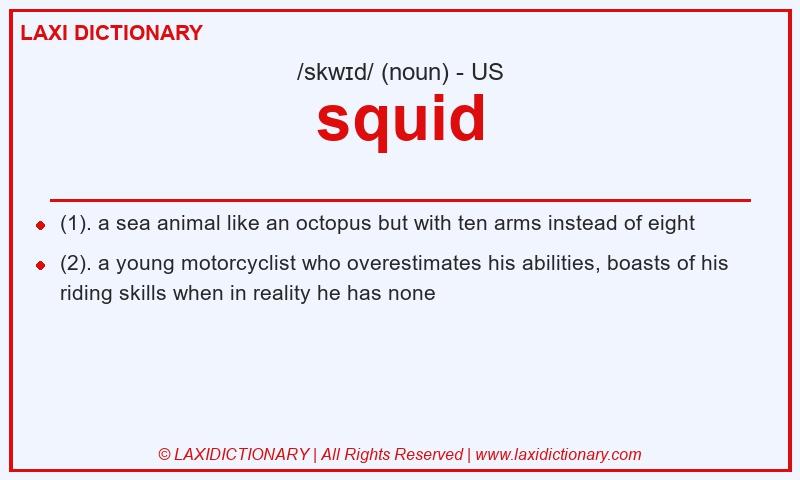 Definition squid in American English