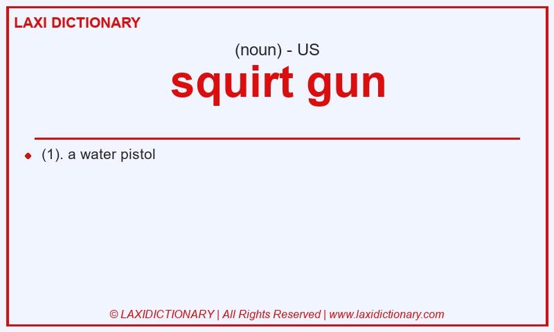 Definition squirt gun in American English
