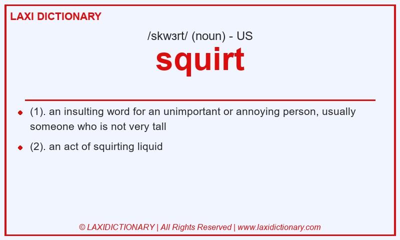 Definition squirt in American English