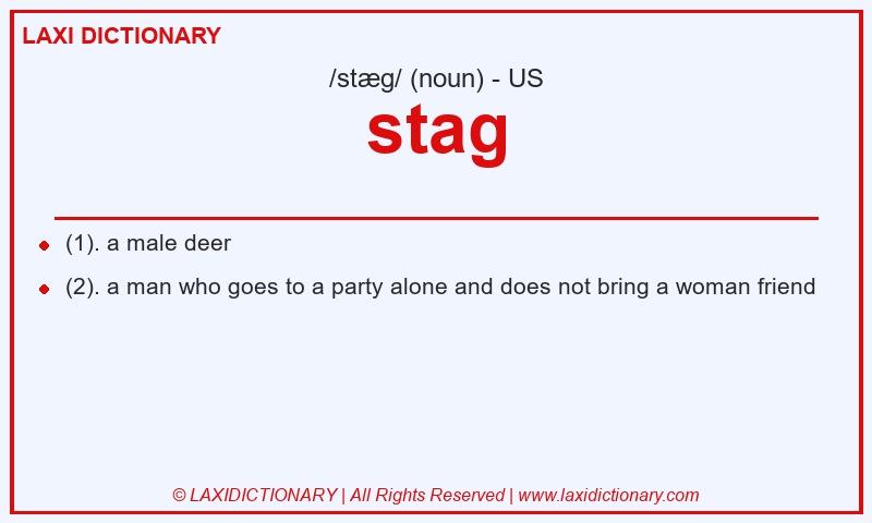 Definition stag in American English