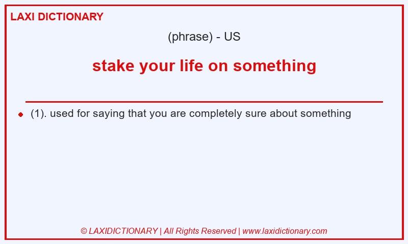 Definition stake your life on something in American English