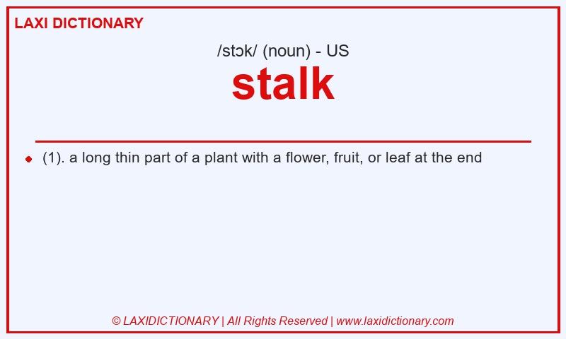 Definition stalk in American English