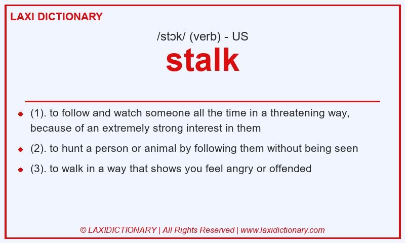 Definition stalk in American English