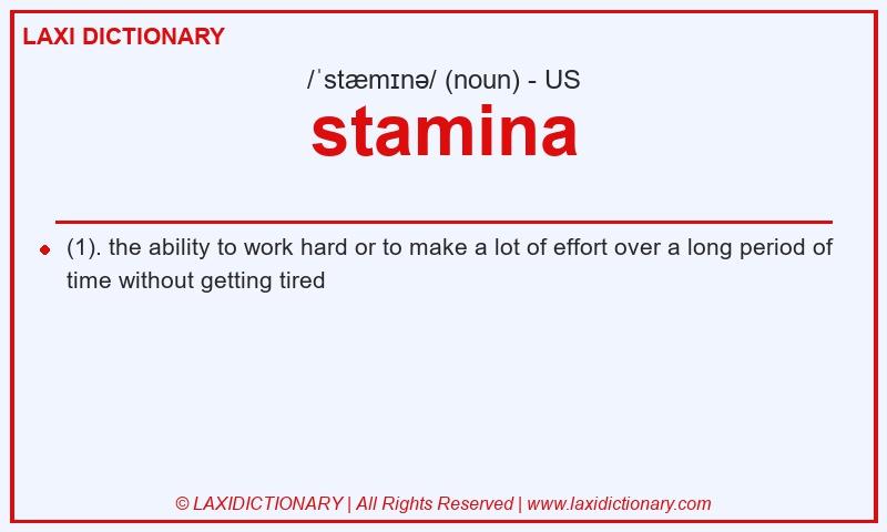 Definition stamina in American English