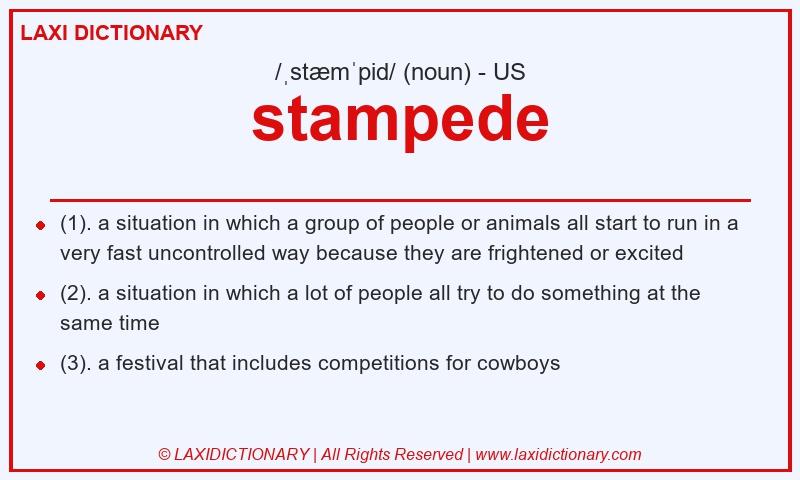 Definition stampede in American English
