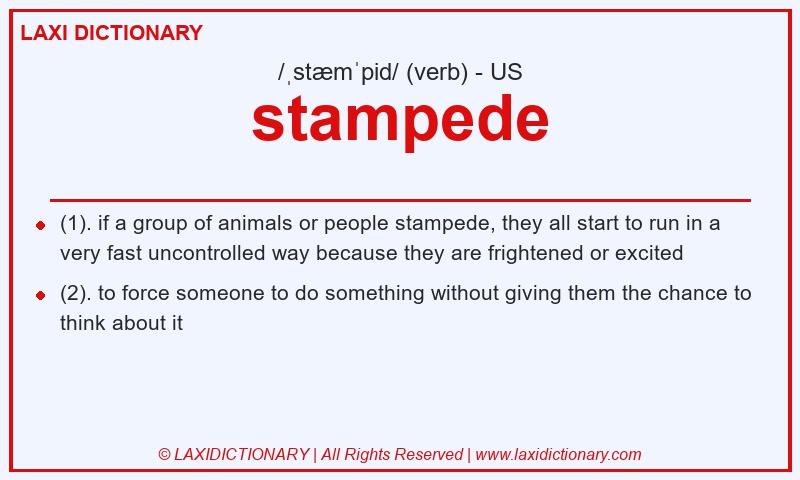 Definition stampede in American English