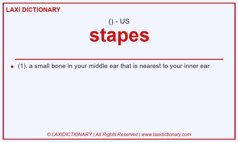 Definition stapes in American English