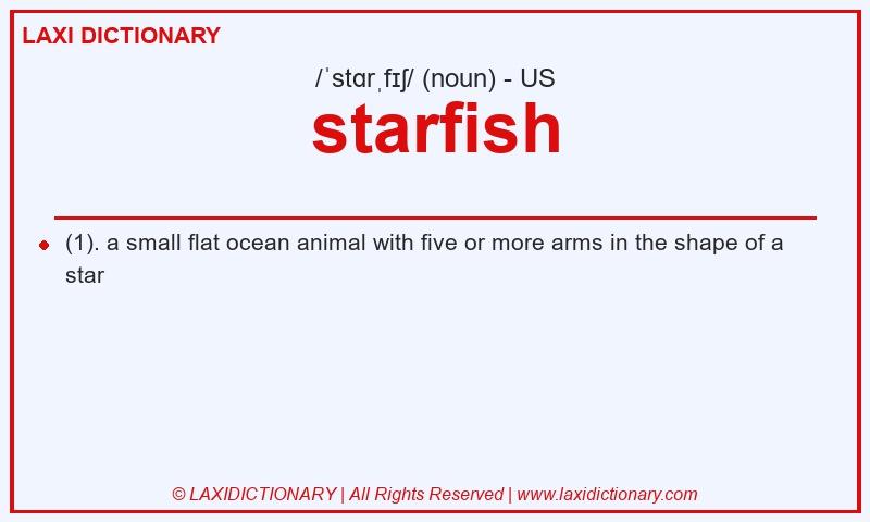 Definition starfish in American English