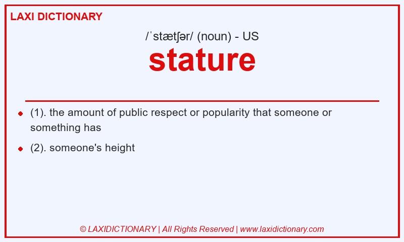 Definition stature in American English
