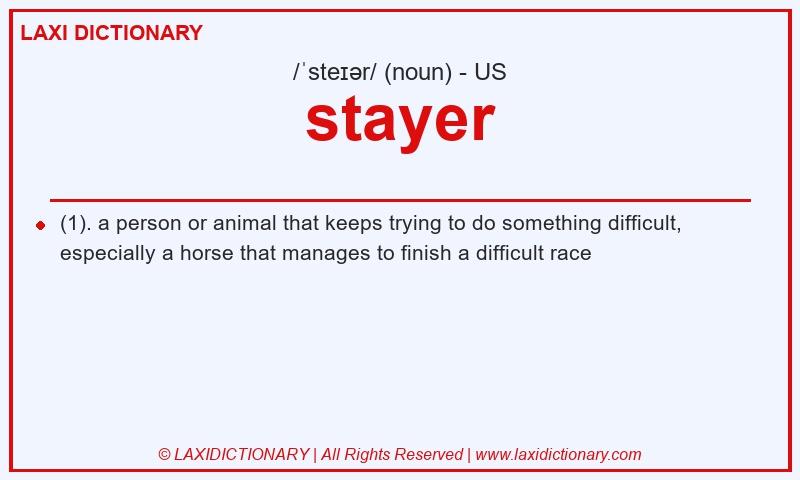 Definition stayer in American English