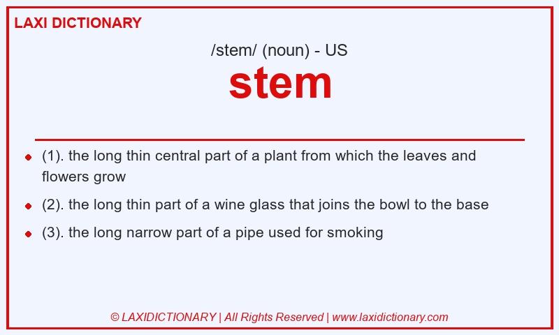 Definition stem in American English