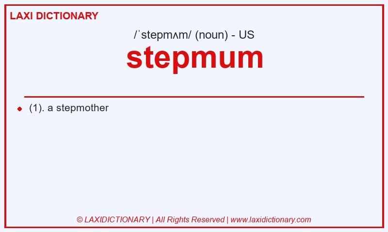 Definition stepmum in American English