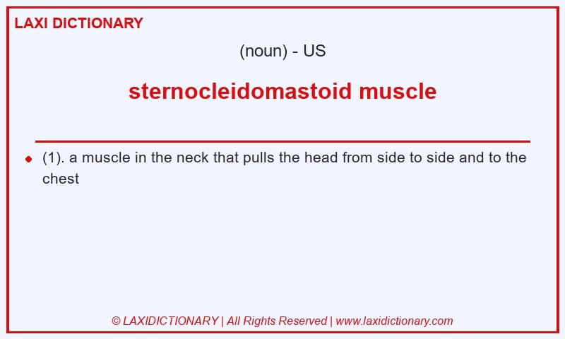 Definition sternocleidomastoid muscle in American English