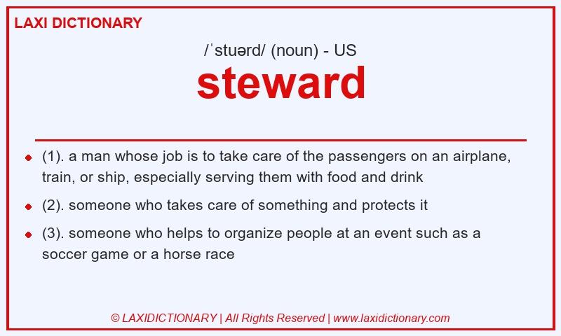 Definition steward in American English