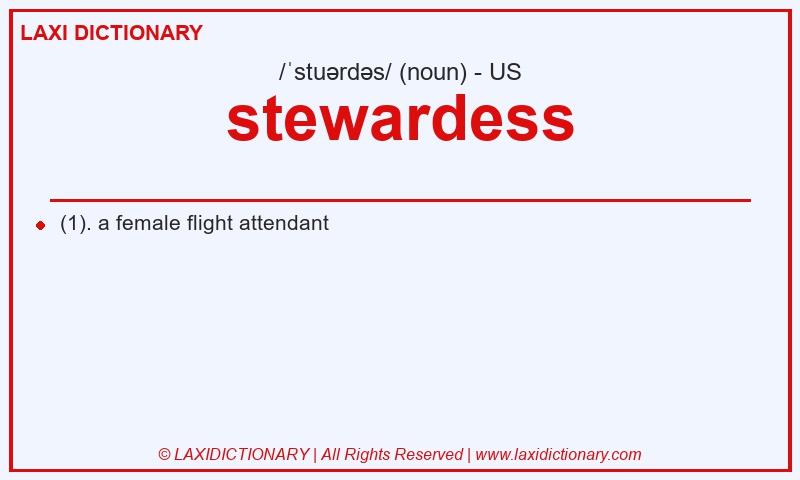 Definition stewardess in American English
