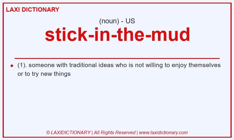 Definition stick-in-the-mud in American English