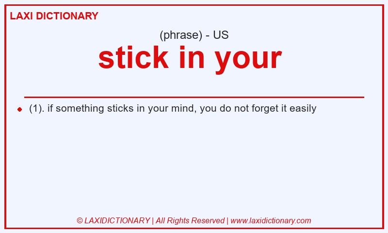 Definition stick in your  in American English