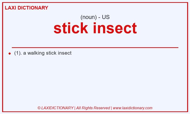 Definition stick insect in American English