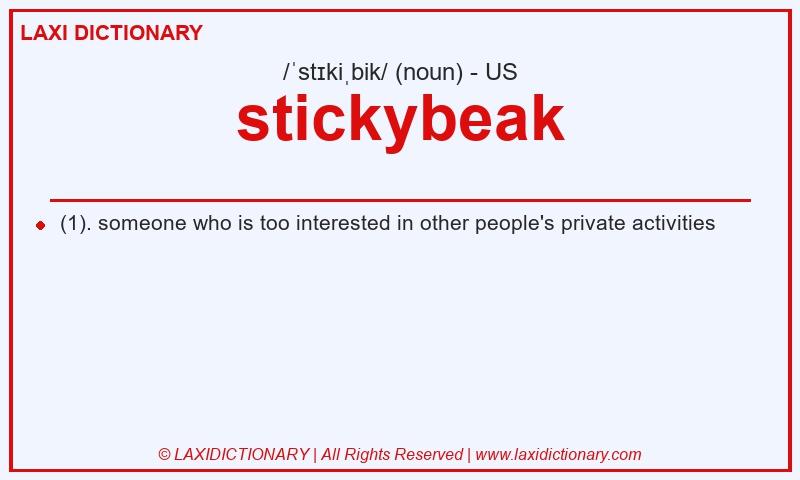 Definition stickybeak in American English