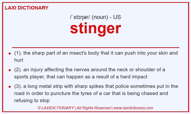 Definition stinger in American English