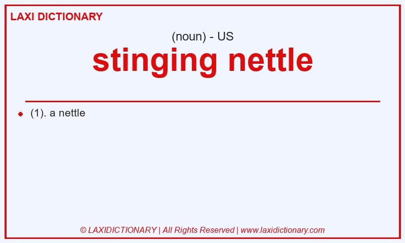 Definition stinging nettle in American English