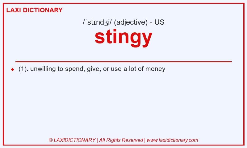 Definition stingy in American English