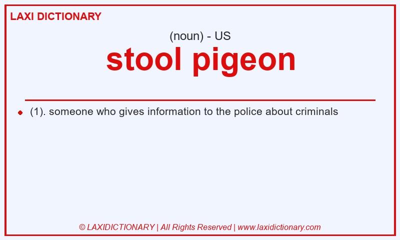Definition stool pigeon in American English